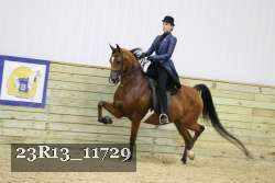 23R13_11729 thumbnail