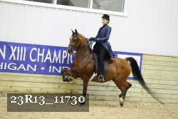 23R13_11730 thumbnail