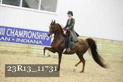 23R13_11731 thumbnail