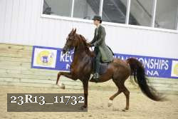 23R13_11732 thumbnail