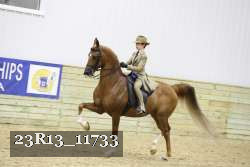 23R13_11733 thumbnail