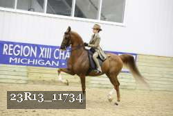 23R13_11734 thumbnail