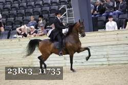 23R13_11735 thumbnail
