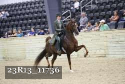 23R13_11736 thumbnail