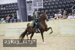 23R13_11737 thumbnail