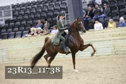 23R13_11738 thumbnail