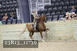 23R13_11739 thumbnail