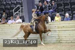 23R13_11740 thumbnail