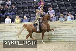 23R13_11741 thumbnail