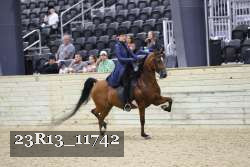 23R13_11742 thumbnail