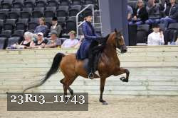23R13_11743 thumbnail