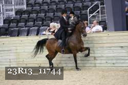 23R13_11744 thumbnail