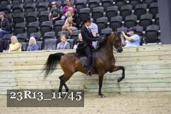 23R13_11745 thumbnail