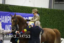 23R13_11753 thumbnail