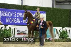 23R13_11755 thumbnail