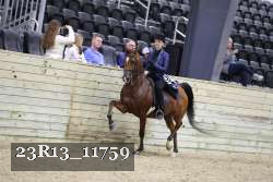 23R13_11759 thumbnail