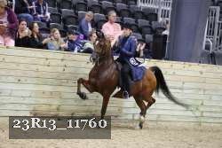 23R13_11760 thumbnail