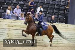 23R13_11761 thumbnail