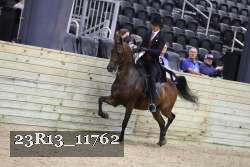 23R13_11762 thumbnail
