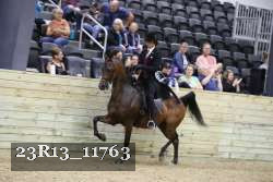 23R13_11763 thumbnail