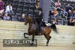 23R13_11764 thumbnail
