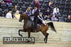 23R13_11765 thumbnail
