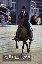 23R13_11768 thumbnail