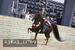 23R13_11769 thumbnail