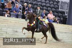 23R13_11770 thumbnail