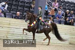 23R13_11771 thumbnail