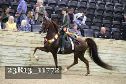 23R13_11772 thumbnail