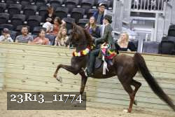 23R13_11774 thumbnail