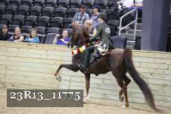 23R13_11775 thumbnail
