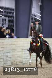 23R13_11778 thumbnail