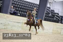 23R13_11782 thumbnail
