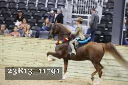 23R13_11791 thumbnail