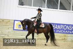 23R13_11819 thumbnail