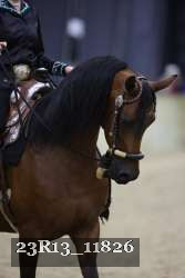 23R13_11826 thumbnail