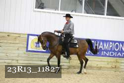 23R13_11827 thumbnail