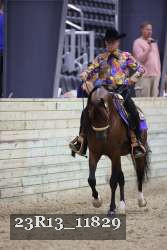 23R13_11829 thumbnail