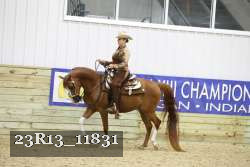 23R13_11831 thumbnail
