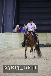 23R13_11841 thumbnail