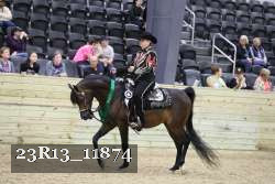 23R13_11874 thumbnail