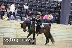 23R13_11875 thumbnail