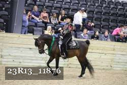 23R13_11876 thumbnail