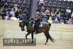 23R13_11877 thumbnail