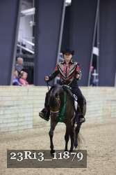 23R13_11879 thumbnail