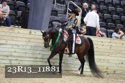 23R13_11881 thumbnail