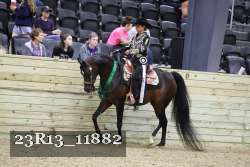 23R13_11882 thumbnail