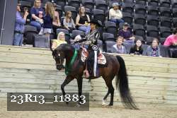 23R13_11883 thumbnail